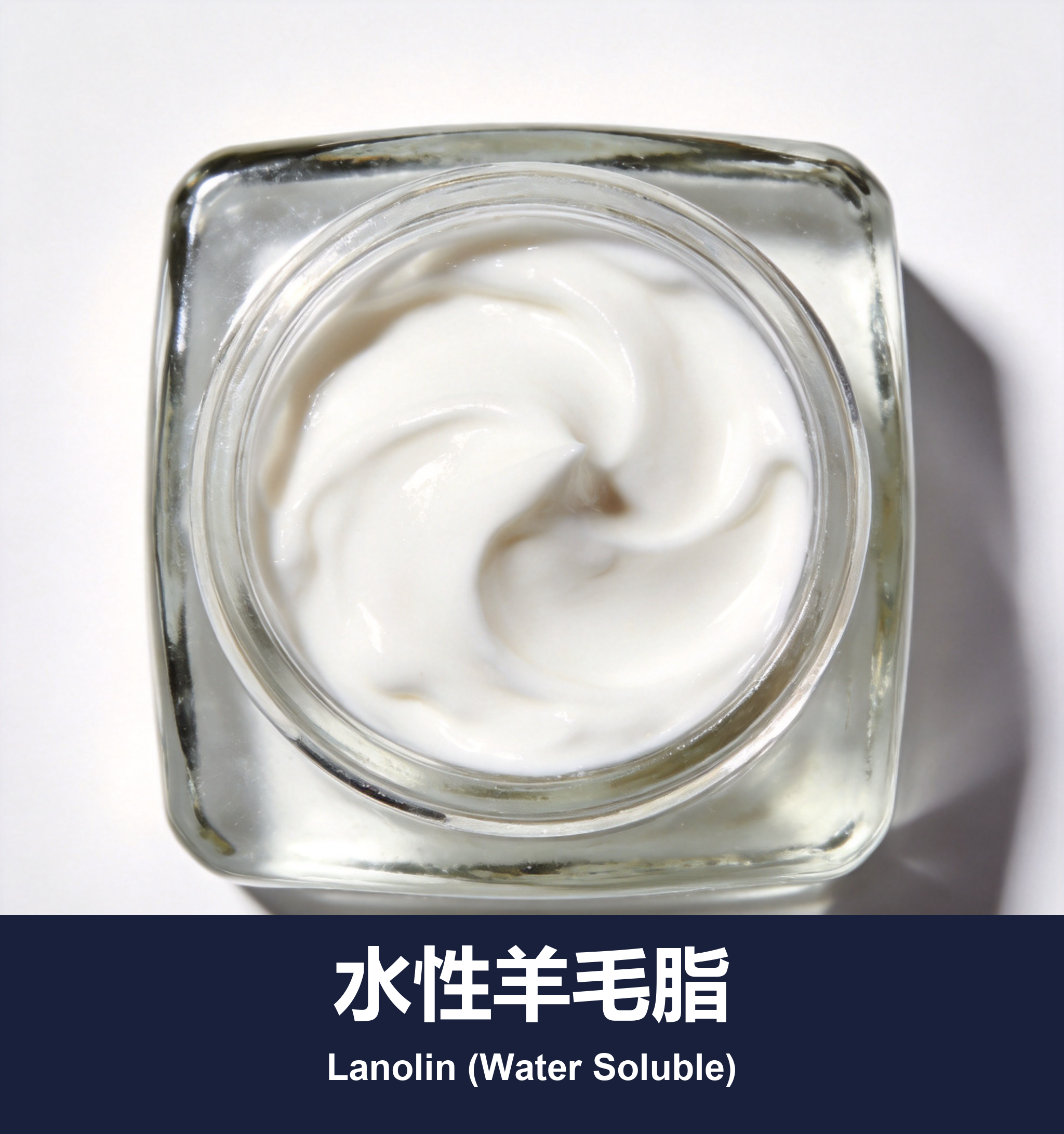 水性羊毛脂