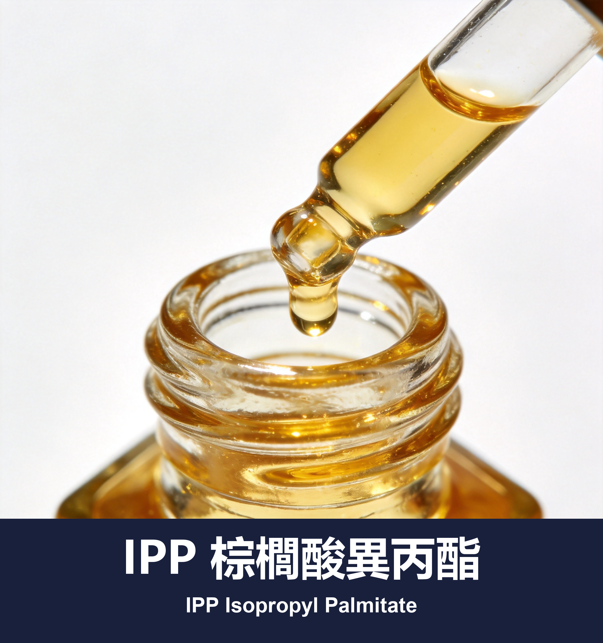 IPP 棕櫚酸異丙酯