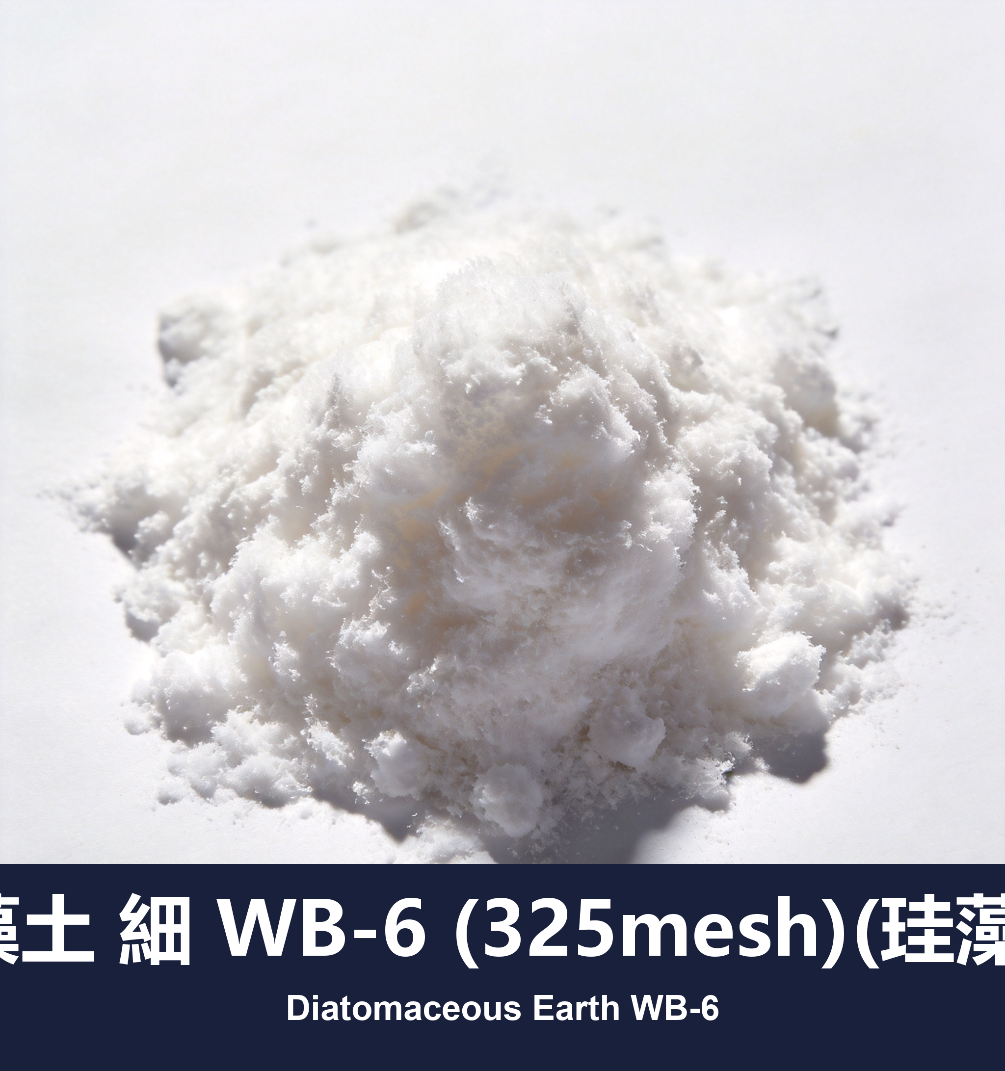 execute_script 成功：矽藻土 細 WB-6 (325mesh)(珪藻土)