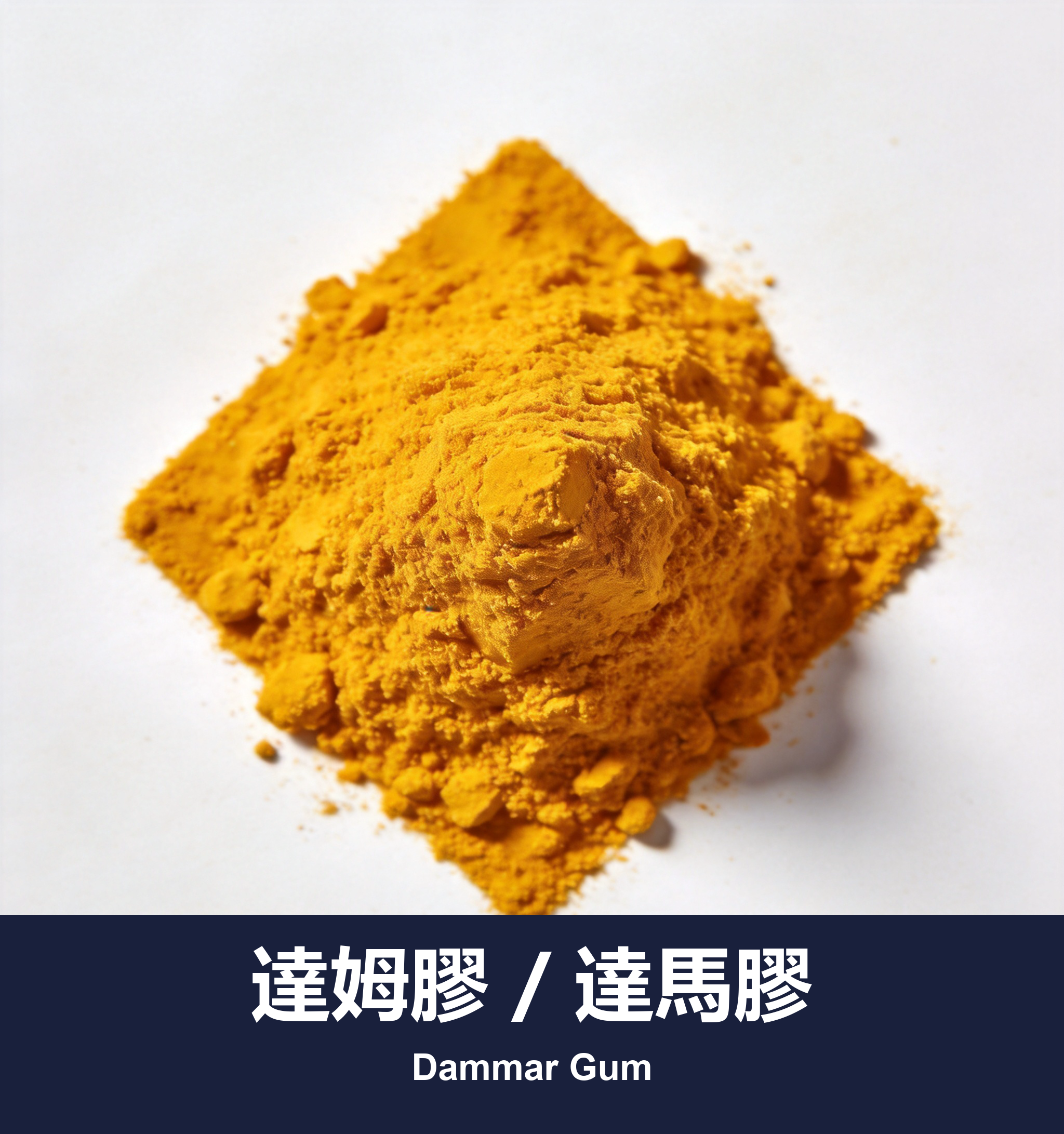 達姆膠 / 達馬膠