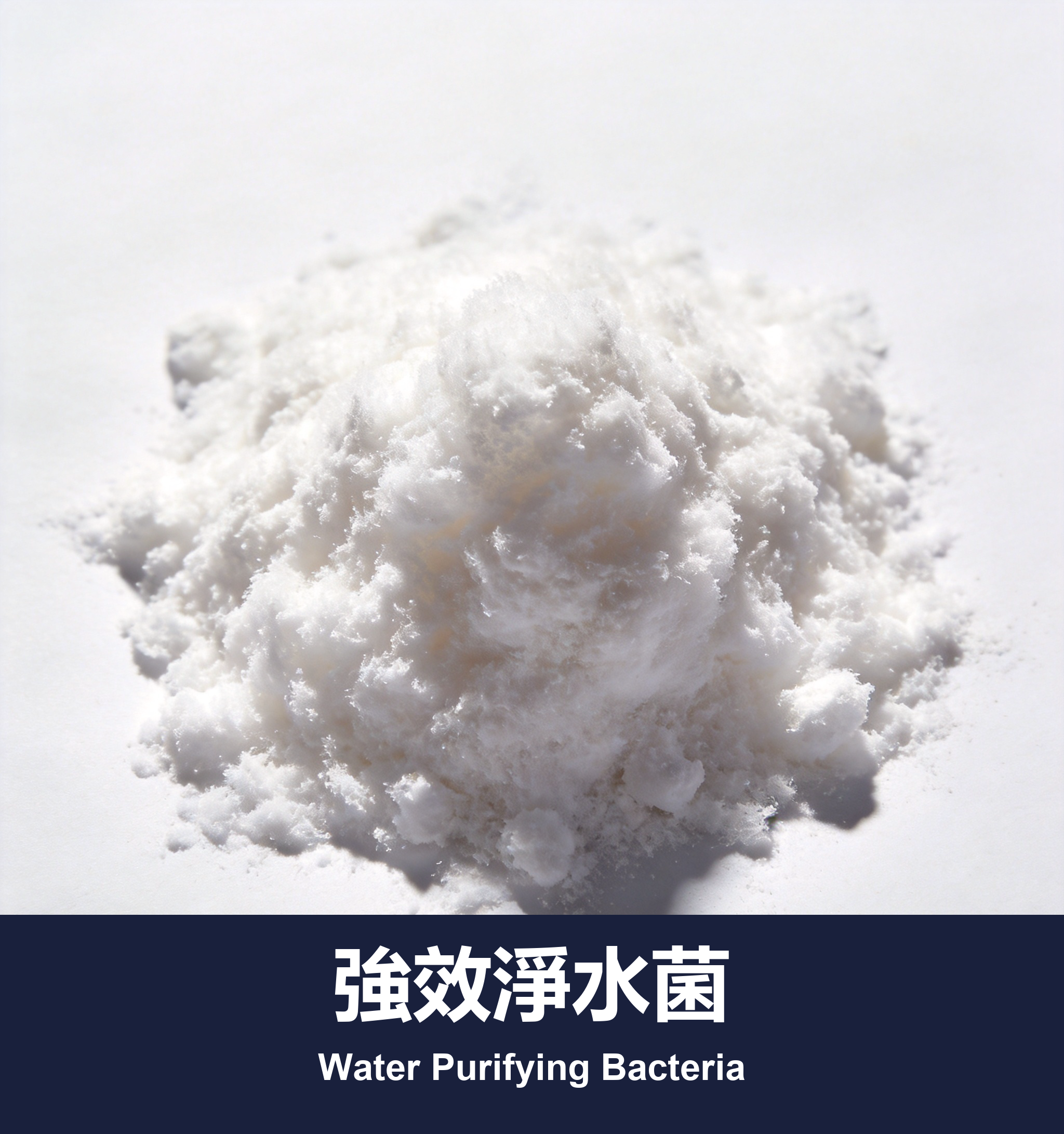強效淨水菌
